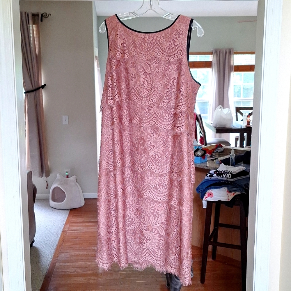 Blush lace classic dress!